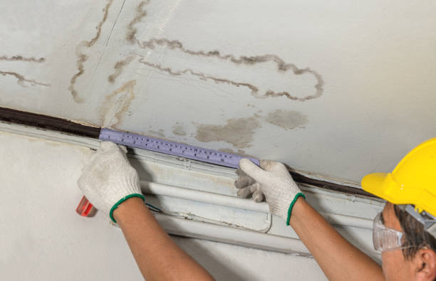 Reliable Mold Remediation contractor in Amity, OR by Water Damage Irwin